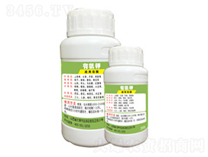 �ЙC�-�G�̿�-�x����