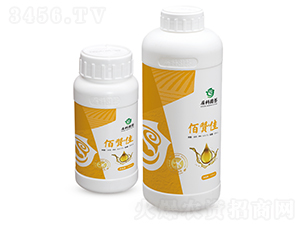 ��ٝ��-���ƈ@ˇ