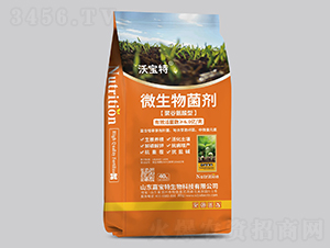 �۹Ȱ�����΢�������-�֌���-�Ό���