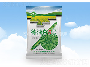 �����s5̖-�Ƙ��N�I(y��)