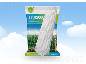 �S��Ŵ2000-�Ƙ��N�I(y��)