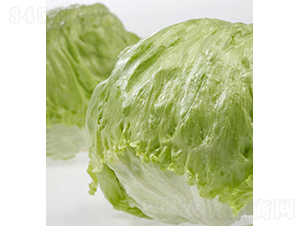 Patagonia-���˷N��-���r(n��ng)�r(n��ng)�I(y��)