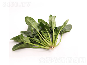 �ǻ�126-���˷N��-���r(n��ng)�r(n��ng)�I(y��)