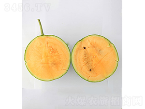 ���r(n��ng)��Ʒ2̖(h��o)-���ϷN��-���r(n��ng)�r(n��ng)�I(y��)