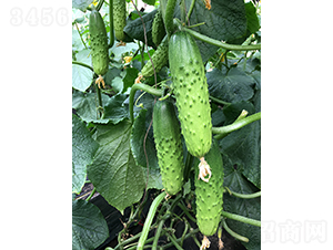 ���r(n��ng)�G��1̖-�S�ϷN��-���r(n��ng)�r(n��ng)�I(y��)