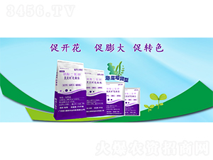 �`�`����������(l��)-��������