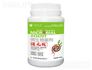 ΢�������-�Z�o��-�Z����