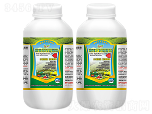 �~�懊ʩ��-���ؠ��r(n��ng)�I(y��)