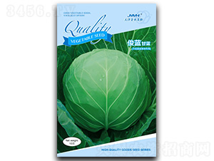 ���{-���{�N��-��ľï��