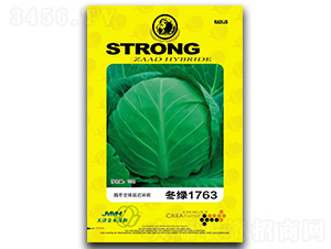 ���G1763-���{�N��-��ľï��