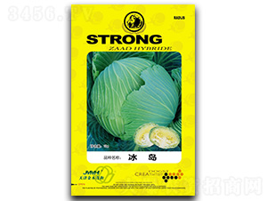 ���u-���{�N��-��ľï��