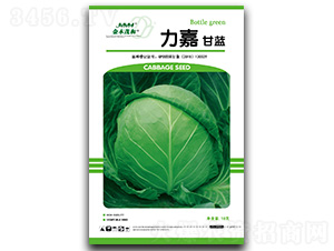 ����-���{�N��-��ľï��