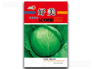 ����-���{�N��-��ľï��