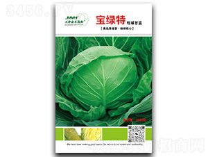 ���G��-���{�N��-��ľï��