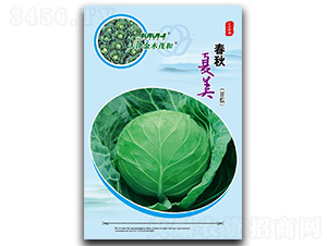 ��������-���{(l��n)�N��-��ľï��