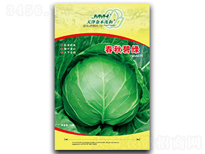 ����̾G-���{(l��n)�N��-��ľï��