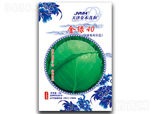 ��G40-���{(l��n)�N��-��ľï��