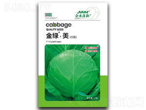 ��G�������{-���{�N��-��ľï��