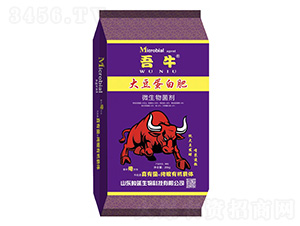 �󶹵��׷�-��ţ-����