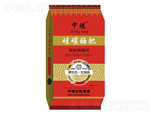 ��̼ø��-����