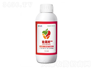 ����r(sh��)-����������