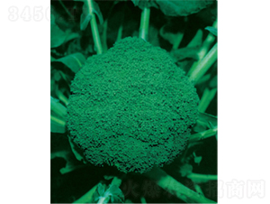 ���G��̖(h��o)���{(l��n)�N��-�r(n��ng)�ƷN��