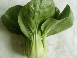 �G����˷N��-�r(n��ng)�ƷN��