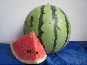 ����948-���ϷN��-�r(n��ng)�ƷN��