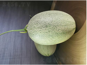 ������122-��ϷN��-�r(n��ng)�ƷN��