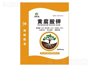 �S�����-��������