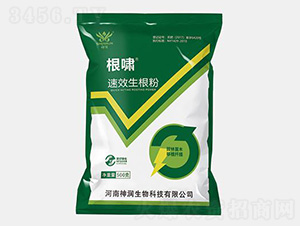 ���[������-������