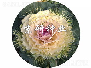 ��ɏ��3̖(h��o)-���{(l��n)�N��-���зN�I(y��)