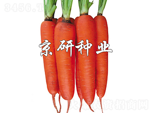 �A�u(y��)238-���}���N��-���зN�I(y��)