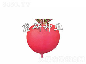 ���t4̖(h��o)-�}���N��-���зN�I(y��)