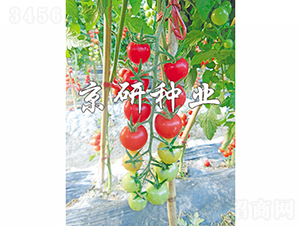 ��������1̖(h��o)-���ѷN��-���зN�I(y��)