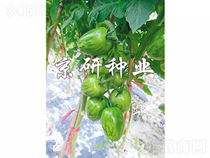 �����в�1̖(h��o)-���ѷN��-���зN�I(y��)