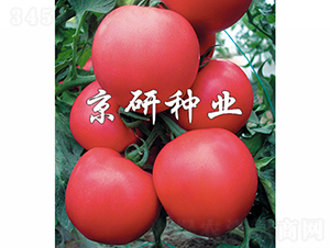 Ӳ��8̖(h��o)-���ѷN��-���зN�I(y��)