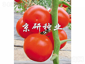 �Ѽt8̖(h��o)-���ѷN��-���зN�I(y��)