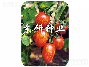 ����1̖(h��o)-���ѷN��-���зN�I(y��)