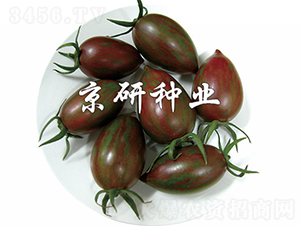 ����3̖(h��o)-���ѷN��-���зN�I(y��)