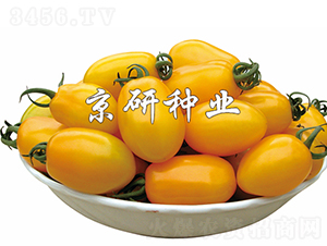 �S�L1̖(h��o)-���ѷN��-���зN�I(y��)