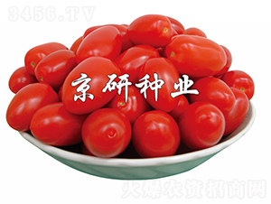 ����5̖(h��o)-���ѷN��-���зN�I(y��)