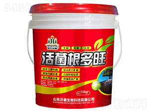 ���������-��̩����