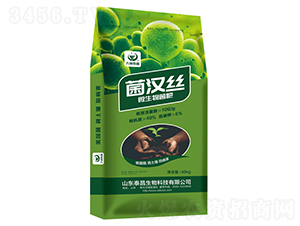 ���h�z΢�������-��̩����