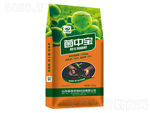 ���Ќ�΢�������-��̩����