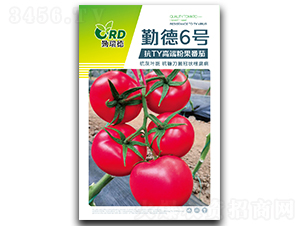 �ڵ�6̖(h��o)-���ѷN��-�Ƞ��N��