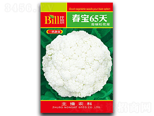 ����65��-��Ҭ�˷N��-�Ƞ�