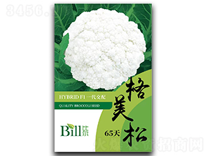 ������65��-��Ҭ�˷N��-�Ƞ�