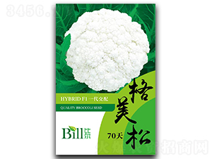 ������70��-��Ҭ�˷N��-�Ƞ�