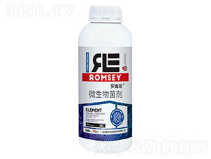 ΢�������-�_ķ˹-���_��